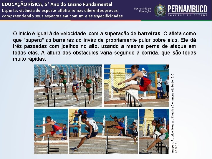 EDUCAÇÃO FÍSICA, 6° Ano do Ensino Fundamental Esporte: vivência do esporte atletismo nas diferentes