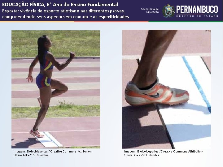 EDUCAÇÃO FÍSICA, 6° Ano do Ensino Fundamental Esporte: vivência do esporte atletismo nas diferentes