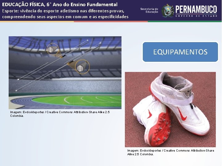 EDUCAÇÃO FÍSICA, 6° Ano do Ensino Fundamental Esporte: vivência do esporte atletismo nas diferentes