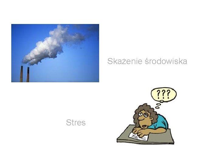 Skażenie środowiska Stres 