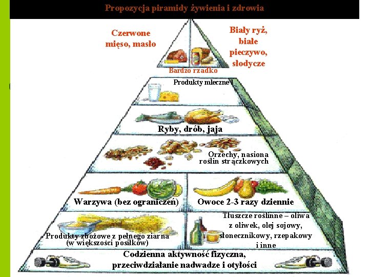 Propozycja piramidy żywienia i zdrowia Biały ryż, białe pieczywo, słodycze Czerwone mięso, masło Bardzo