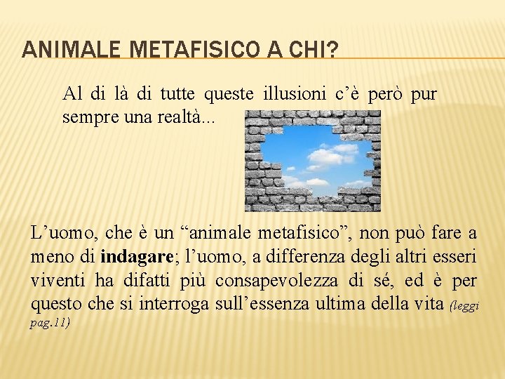 ANIMALE METAFISICO A CHI? Al di là di tutte queste illusioni c’è però pur