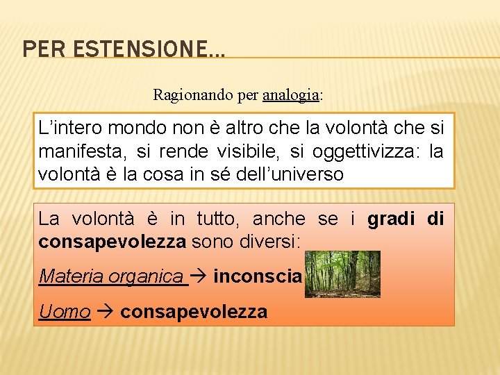 PER ESTENSIONE. . . Ragionando per analogia: L’intero mondo non è altro che la