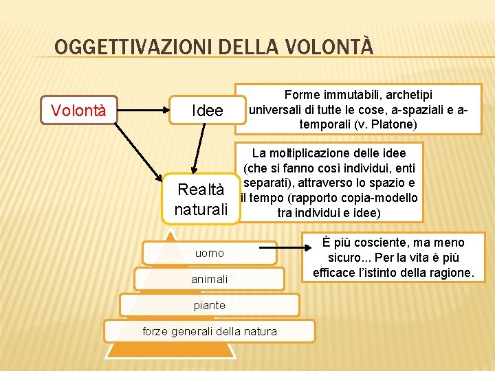 OGGETTIVAZIONI DELLA VOLONTÀ Volontà Idee Realtà naturali Forme immutabili, archetipi universali di tutte le