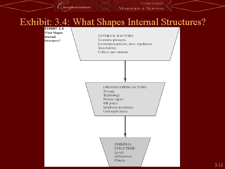 Exhibit: 3. 4: What Shapes Internal Structures? 3 -12 