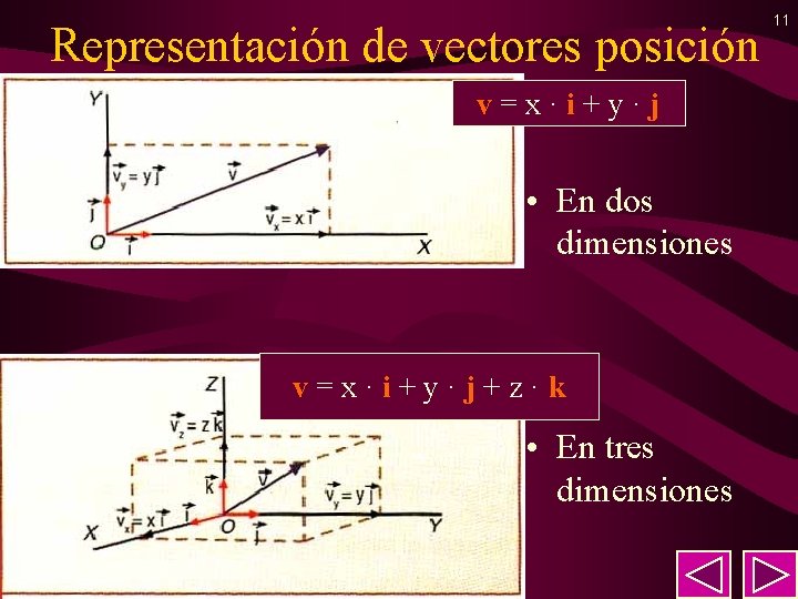 Representación de vectores posición v = x · i + y · j •