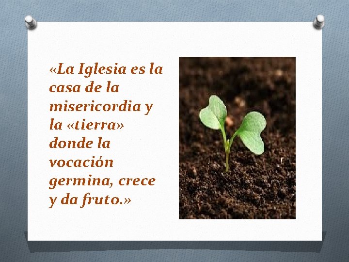  «La Iglesia es la casa de la misericordia y la «tierra» donde la