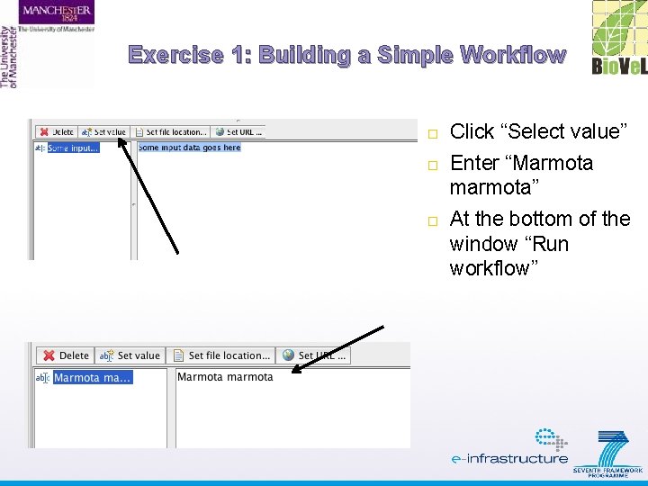 Exercise 1: Building a Simple Workflow Click “Select value” Enter “Marmota marmota” At the
