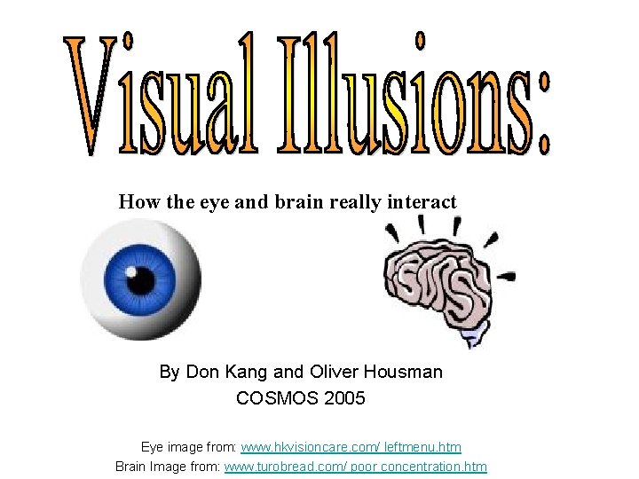 How the eye and brain really interact By Don Kang and Oliver Housman COSMOS