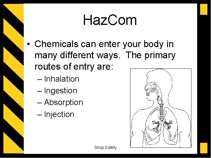 Haz. Com • Chemicals can enter your body in many different ways. The primary