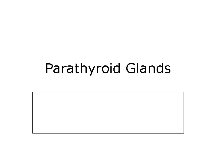 Parathyroid Glands 