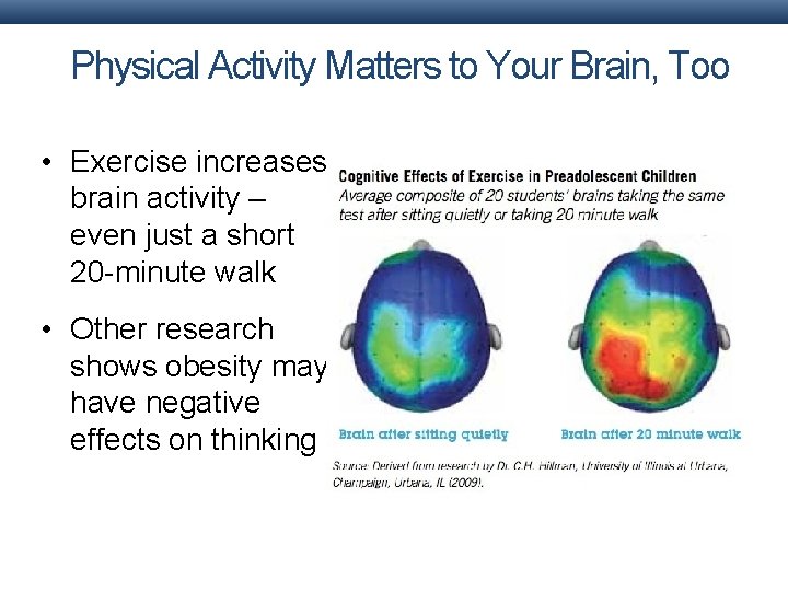 Physical Activity Matters to Your Brain, Too • Exercise increases brain activity – even Physical Activity Matters to Your Brain, Too • Exercise increases brain activity – even