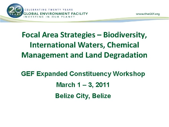 Focal Area Strategies – Biodiversity, International Waters, Chemical Management and Land Degradation GEF Expanded