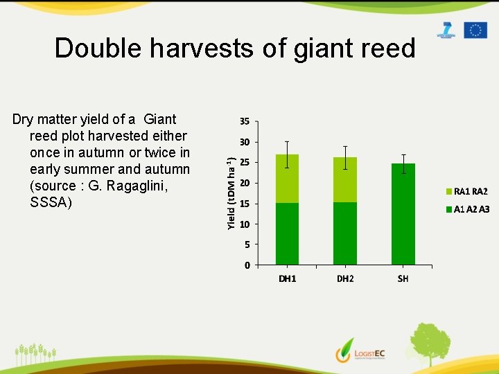 Double harvests of giant reed Dry matter yield of a Giant reed plot harvested