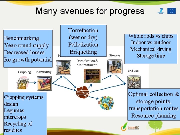 Many avenues for progress Benchmarking Year-round supply Decreased losses Re-growth potential Cropping systems design