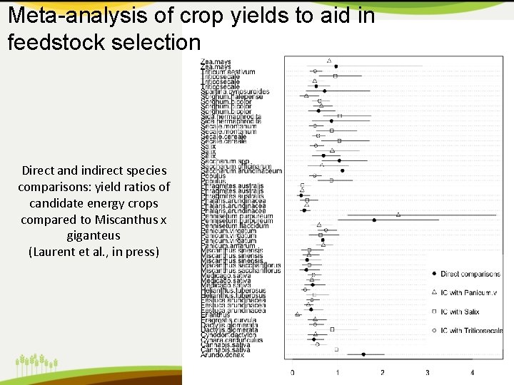 Meta-analysis of crop yields to aid in feedstock selection Direct and indirect species comparisons: