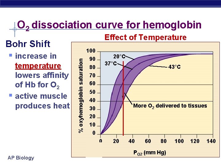 O 2 dissociation curve for hemoglobin Effect of Temperature § increase in temperature lowers