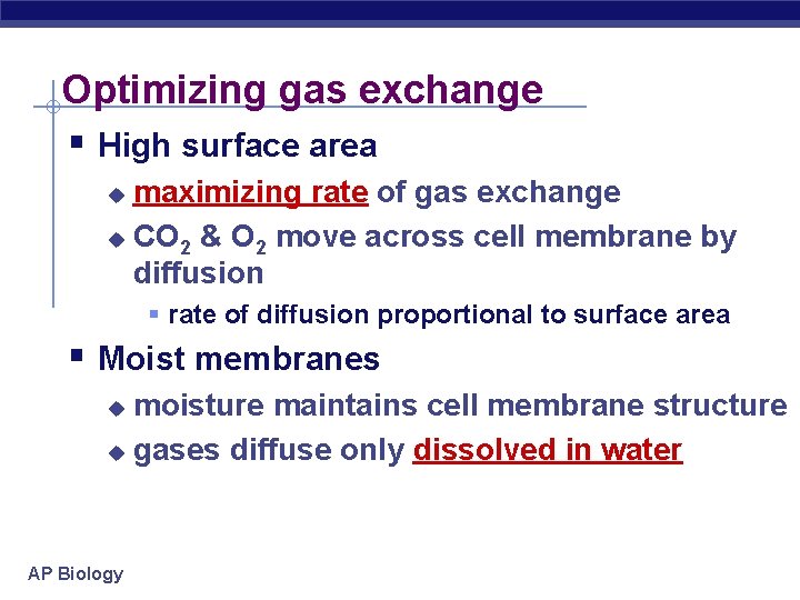 Optimizing gas exchange § High surface area maximizing rate of gas exchange u CO