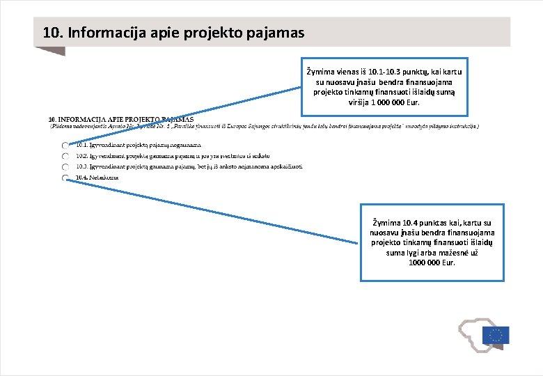 10. Informacija apie projekto pajamas Žymima vienas iš 10. 1 -10. 3 punktų, kai