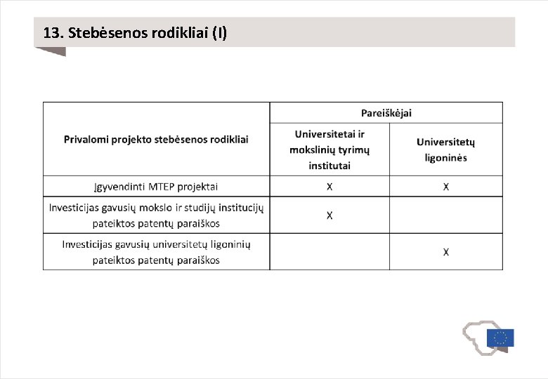 13. Stebėsenos rodikliai (I) 