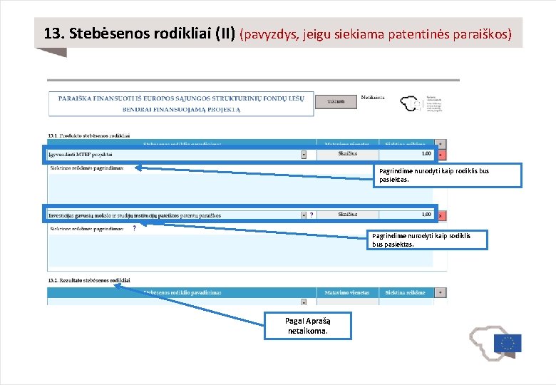 13. Stebėsenos rodikliai (II) (pavyzdys, jeigu siekiama patentinės paraiškos) Pagrindime nurodyti kaip rodiklis bus