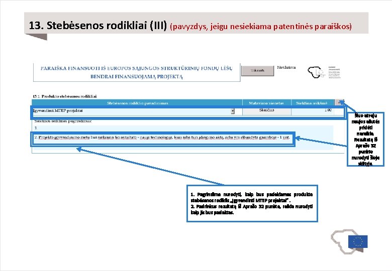 13. Stebėsenos rodikliai (III) (pavyzdys, jeigu nesiekiama patentinės paraiškos) Šiuo atveju naujos eilutės pridėti