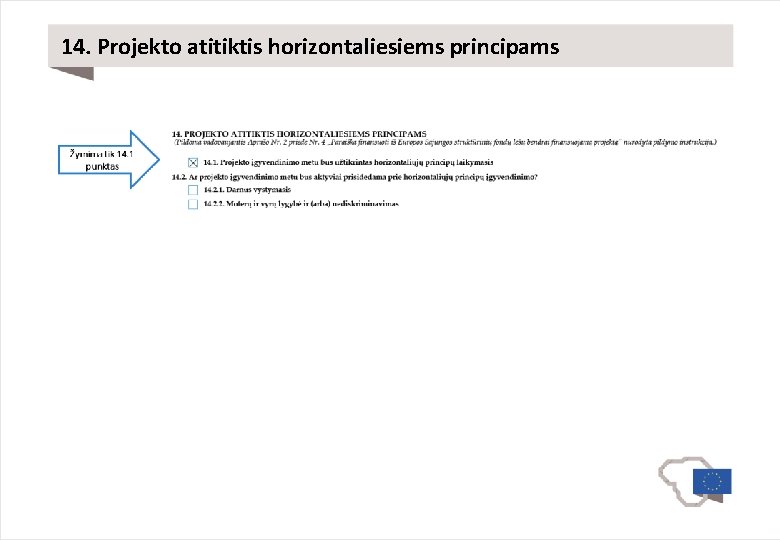 14. Projekto atitiktis horizontaliesiems principams 