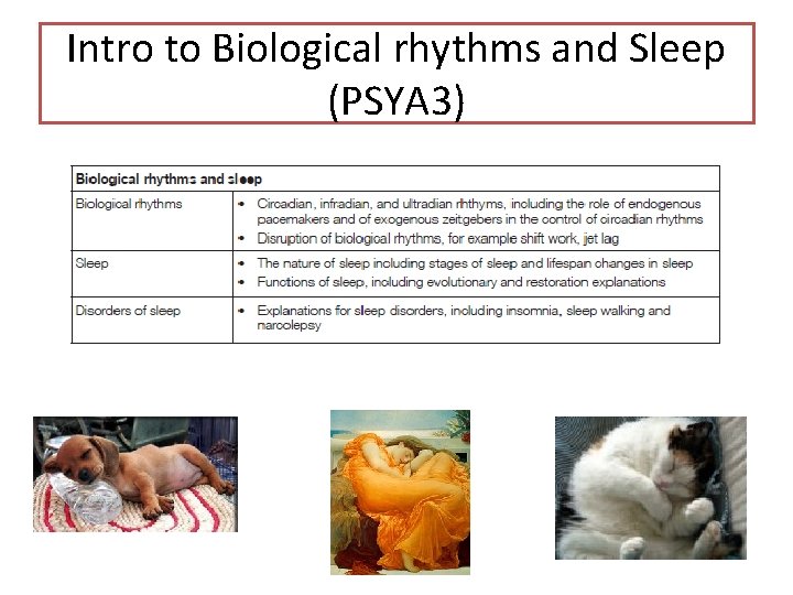 Intro to Biological rhythms and Sleep (PSYA 3) 