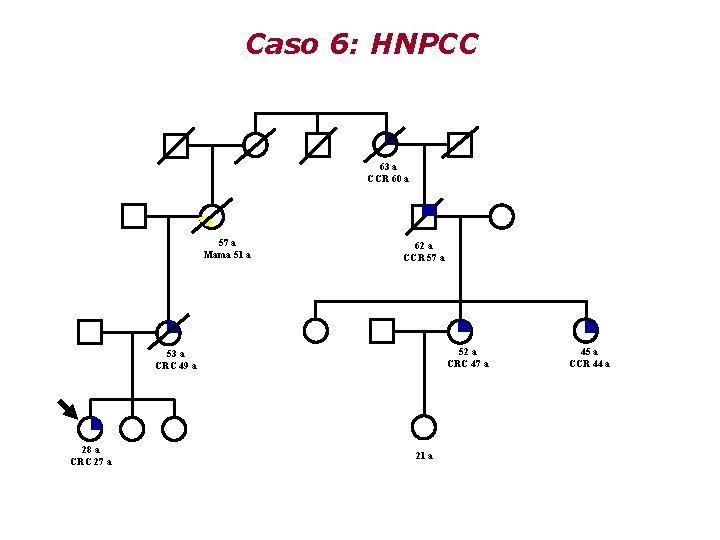Caso 6: HNPCC 63 a CCR 60 a 57 a Mama 51 a 62