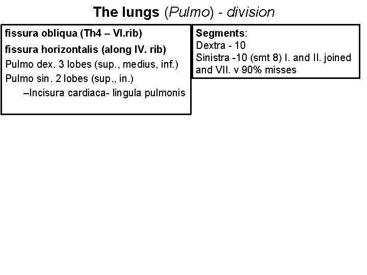 The lungs (Pulmo) - division fissura obliqua (Th 4 – VI. rib) fissura horizontalis