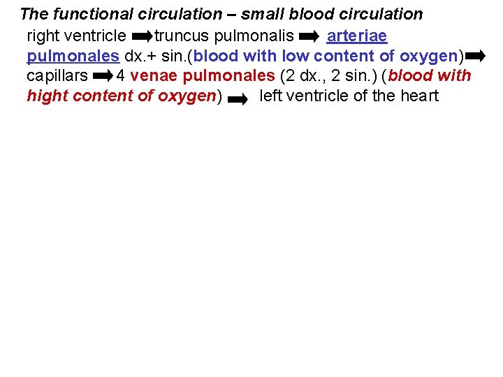 The functional circulation – small blood circulation right ventricle truncus pulmonalis arteriae pulmonales dx.