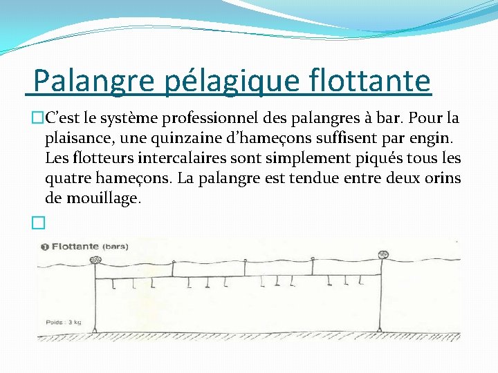  Palangre pélagique flottante �C’est le système professionnel des palangres à bar. Pour la