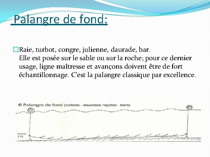  Palangre de fond: �Raie, turbot, congre, julienne, daurade, bar. Elle est posée sur