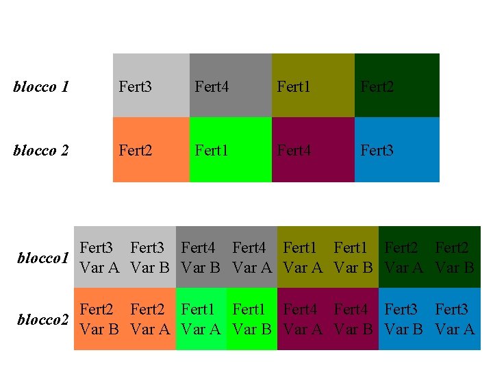 blocco 1 Fert 3 Fert 4 Fert 1 Fert 2 blocco 2 Fert 1