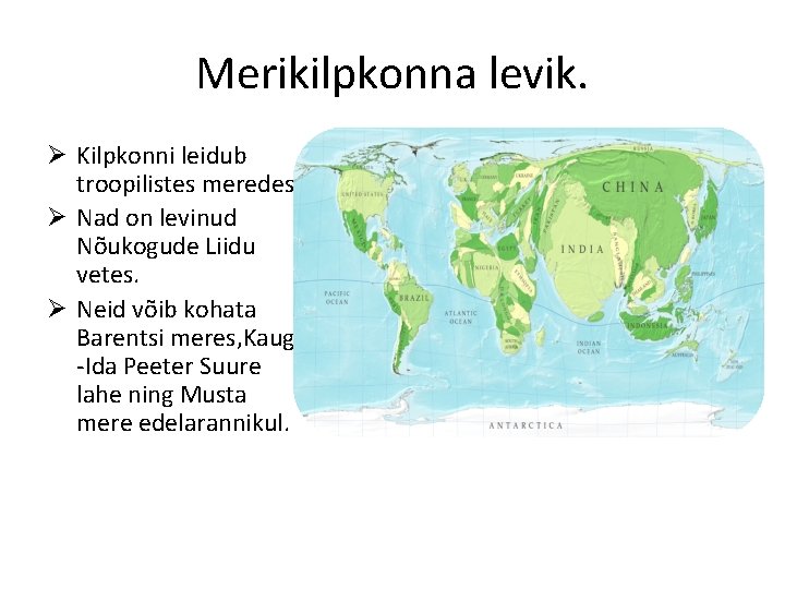 Merikilpkonna levik. Ø Kilpkonni leidub troopilistes meredes. Ø Nad on levinud Nõukogude Liidu vetes.