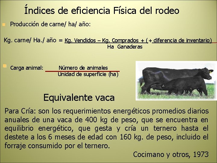 Índices de eficiencia Física del rodeo n Producción de carne/ ha/ año: Kg. carne/