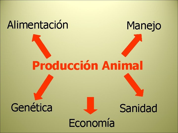 Alimentación Manejo Producción Animal Genética Sanidad Economía 