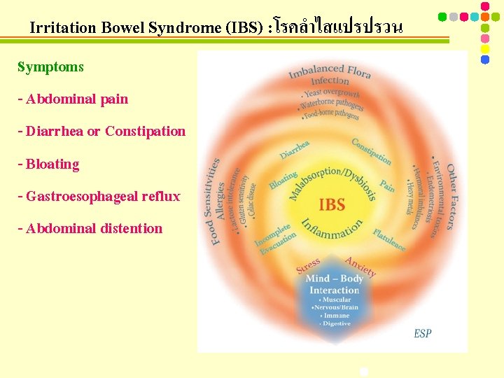 Irritation Bowel Syndrome (IBS) : โรคลำไสแปรปรวน Symptoms - Abdominal pain - Diarrhea or Constipation