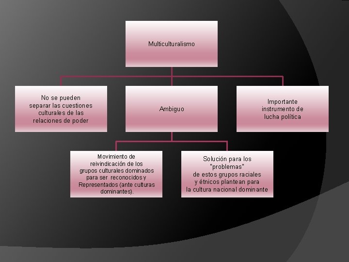 Multiculturalismo No se pueden separar las cuestiones culturales de las relaciones de poder Movimiento