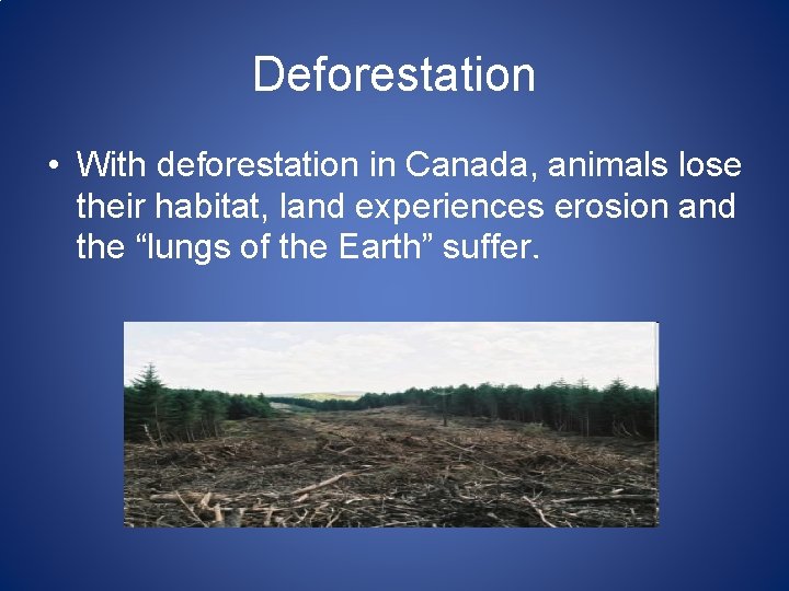 Deforestation • With deforestation in Canada, animals lose their habitat, land experiences erosion and