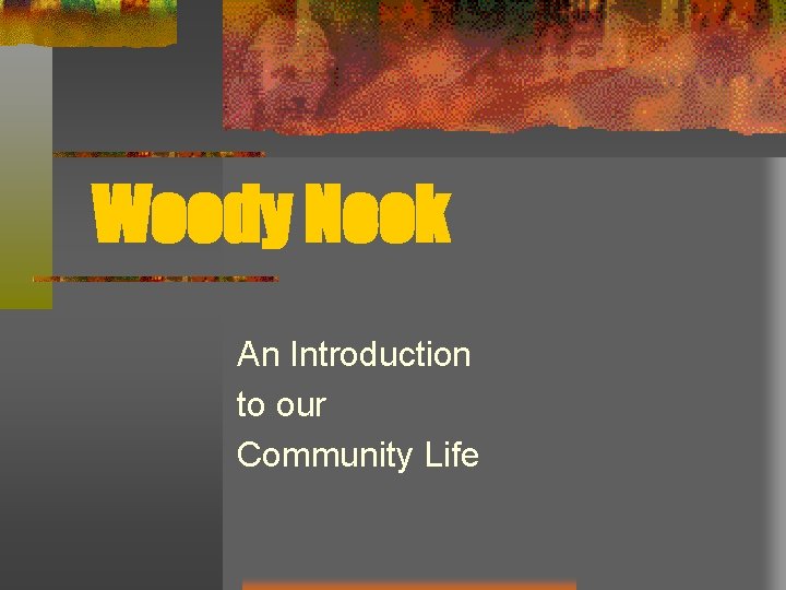 Woody Nook An Introduction to our Community Life 