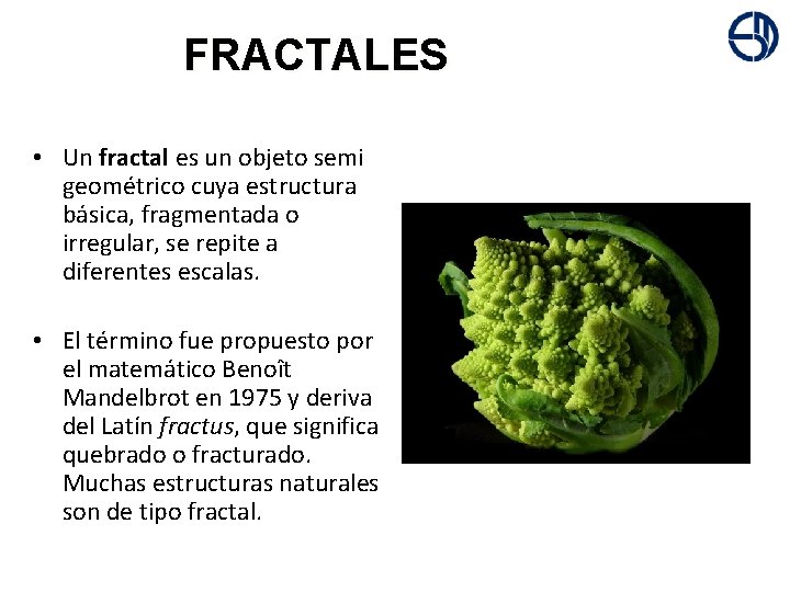 + FRACTALES • Un fractal es un objeto semi geométrico cuya estructura básica, fragmentada