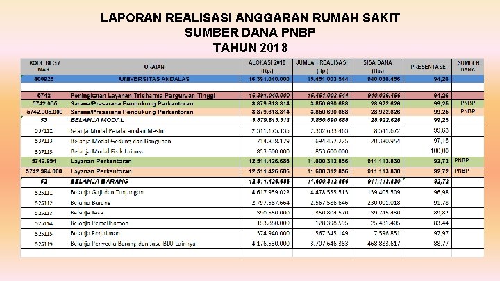 LAPORAN REALISASI ANGGARAN RUMAH SAKIT SUMBER DANA PNBP TAHUN 2018 