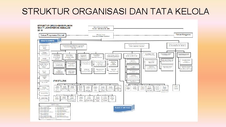 STRUKTUR ORGANISASI DAN TATA KELOLA 