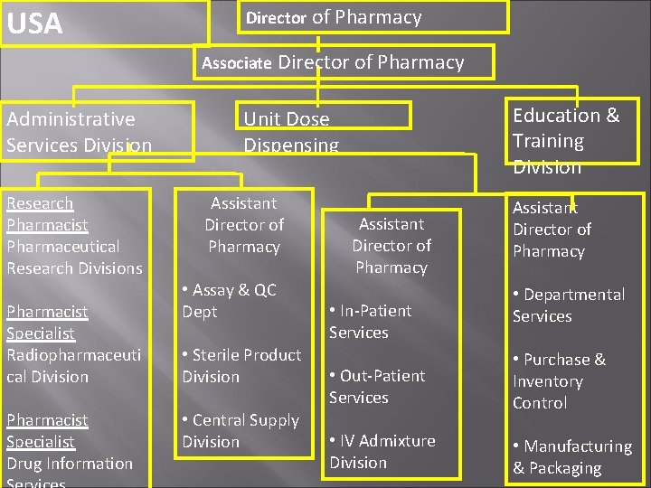 USA Director of Pharmacy Associate Director of Pharmacy Administrative Services Division Research Pharmacist Pharmaceutical