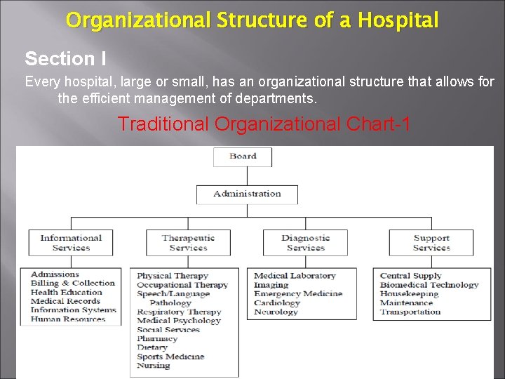 Organizational Structure of a Hospital Section I Every hospital, large or small, has an