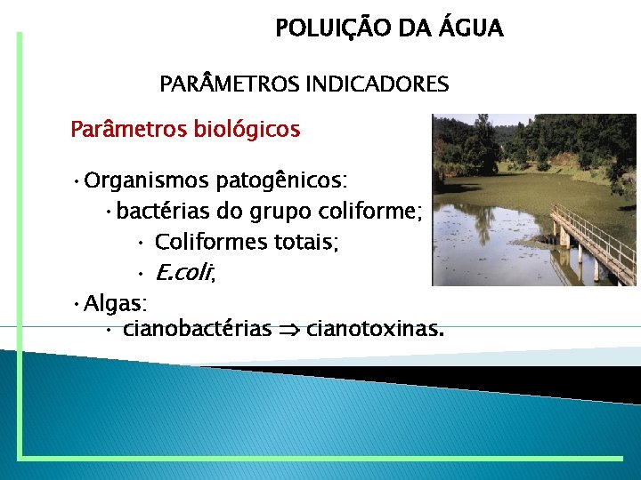 POLUIÇÃO DA ÁGUA PAR METROS INDICADORES Parâmetros biológicos • Organismos patogênicos: • bactérias do