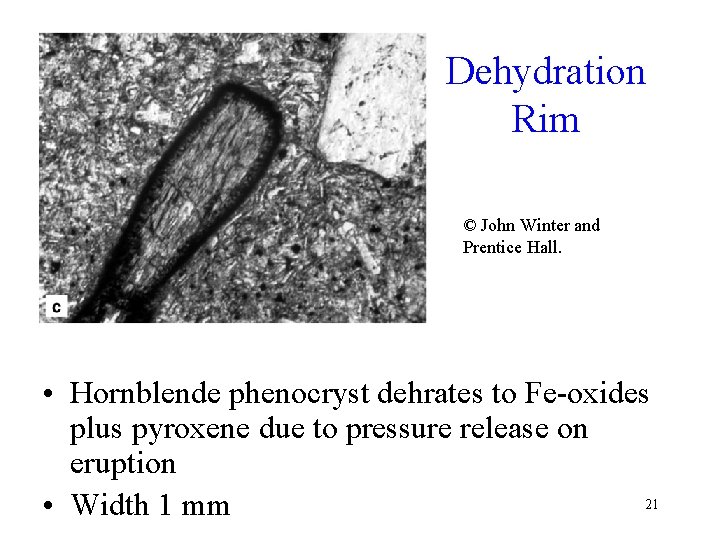 Dehydration Rim © John Winter and Prentice Hall. • Hornblende phenocryst dehrates to Fe-oxides