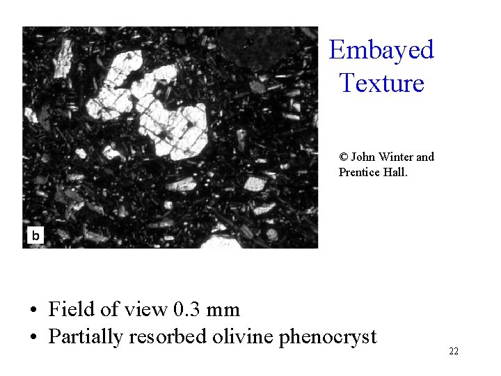 Embayed Texture © John Winter and Prentice Hall. • Field of view 0. 3