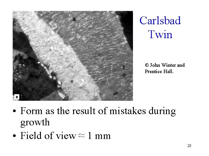 Carlsbad Twin © John Winter and Prentice Hall. • Form as the result of